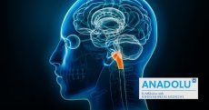 Tumeur du tronc cérébral : reconnaître les signes neurologiques