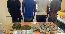 Saly : quatre suspects interpellés et un kilogramme de chanvre indien saisi