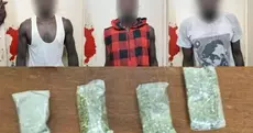 Yoff Ndeugagne : arrestation de cinq individus avec du crack et du chanvre indien cachés dans un tam-tam