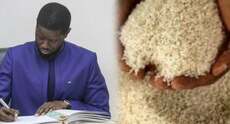 Riz local : L’État du Sénégal fixe le prix à 350 F CFA le kilo pour soutenir les producteurs