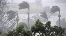 Ziguinchor frappée par une violente tempête : Des dégâts matériels considérables enregistrés