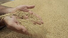 Intempéries à Sidi Slimane: distribution gratuite d’orge et de fourrage pour soutenir les éleveurs