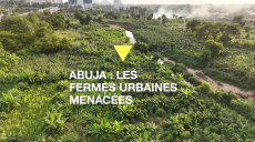 À Abuja, les fermes urbaines menacées par la promotion immobilière