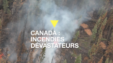 Canada : des incendies dévastent l'ouest du pays