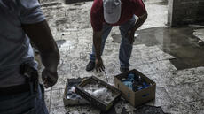 Comment le crime organisé se développe sur le continent africain, selon l'ONG GI-TOC