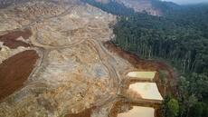 La chute des prix du nickel permet à la Chine de renflouer ses stocks