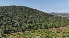 Kenya: cinq villages et une forêt au cœur de la course mondiale aux terres rares