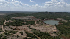 La déforestation ralentit dans le monde, mais progresse en Afrique centrale