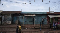 Kenya: se nourrir grâce à l'agriculture urbaine dans les bidonvilles de Nairobi