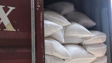 Lucia Bird Ruiz: «Un tiers de la cocaïne européenne transite par l’Afrique de l’Ouest»