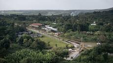 RDC: Greenpeace alerte sur les menaces qui pèsent sur le couloir vert Kivu-Kinshasa