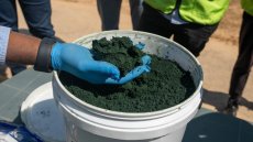 RDC: prolongation de la suspension de l'exportation du cobalt