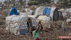 «La famine risque de tuer»: dans les camps de Goma, les déplacés manquent de tout