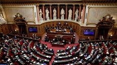 En France, le Sénat vote à l'unanimité la loi sur la restitution des biens culturels africains