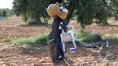 Tunisie: les autorités procèdent à une vaste opération de démantèlement de camps de migrants