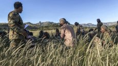 Dans le nord de l'Éthiopie, le conflit en Amhara s'intensifie