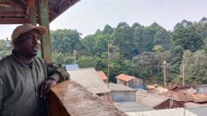 Kenya: inquiétude autour du sort de la forêt de Karura après la décision des autorités