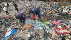 Matam : un appel urgent à la sécurité face à la montée de la drogue kush