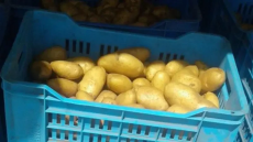 Le ministère du Commerce dément l'importation récente de pommes de ter
