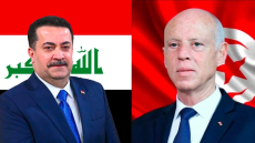 Kaïs Saïed réitère le soutien de la Tunisie à la Palestine