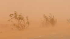 Impressionnante tempête de sable à Tozeur et Kébili
