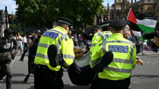 Rassemblement pro-Palestine à Londres : près de 900 arrestations