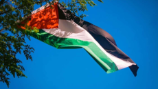 Gaza : le Conseil de sécurité met la pression sur Washington