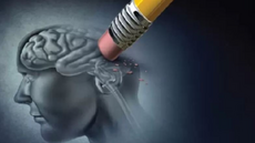 Alzheimer : le diagnostic, clé pour ralentir la maladie