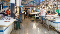 Sousse : Trois grossistes de poisson placés en détention