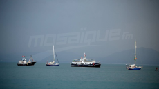 Flottille Soumoud: Deux Tunisiens toujours retenus par l'occupation