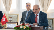 Le ministre des Affaires étrangères au 24ᵉ Sommet du COMESA