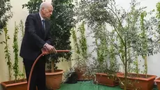 Saïed célèbre la Fête de l’arbre au Conseil supérieur de l’éducation
