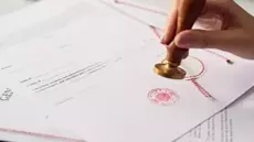 Tunisair : 49 personnes licenciées pour diplômes falsifiés