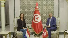 Mohamed Ali Nafti convoque l'ambassadrice des Pays-Bas