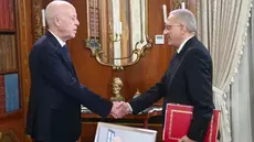 La télé-médecine à l'examen au Palais de Carthage