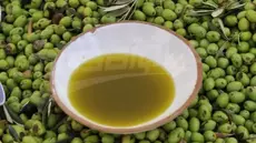 Démarrage du stockage de l’huile d’olive auprès des privés