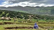 Pluies orageuses et vents forts ce dimanche