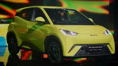 BYD Tunisie lance la Dolphin Surf, la citadine électrique primée