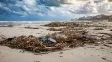 Intempéries: Campagne de nettoyage des plages