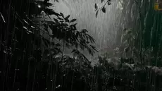 Pluies orageuses et vents forts, cette nuit…