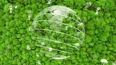 L'emploi, seule voie pour les pays en développement...