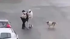 Braquage filmé à La Soukra: Arrestation de trois Subsahariens