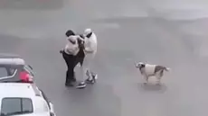 Braquage d’une femme à l’Ariana : Les quatre agresseurs arrêtés