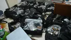 Trafic de drogue et blanchiment d'argent : Deux réseaux démantelés