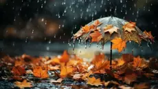 Météo: Températures en baisse et pluies éparses