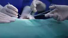 Greffes de moelle osseuse : Plus d’interventions, délais réduits