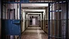 Trafic d'organes: Huit ans de prison pour une intermédiaire...