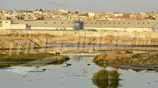 Une stratégie pour l’aménagement de Sabkhet Sijoumi