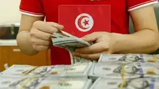 Investir les transferts de la diaspora dans le développement ?