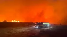 Incendies en Grèce : Près de 300 arrestations